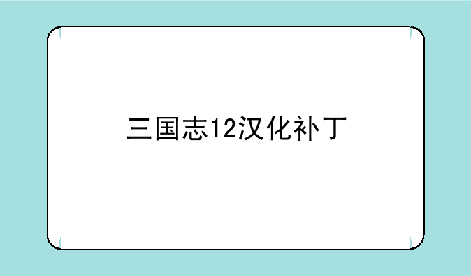 三国志12汉化补丁