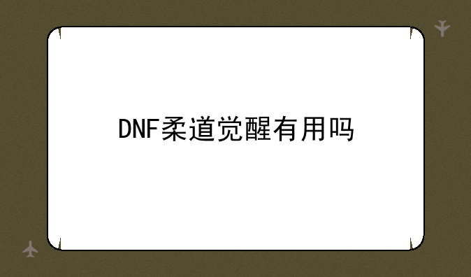 DNF柔道觉醒有用吗