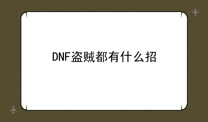 DNF盗贼都有什么招