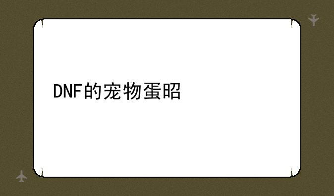 DNF的宠物蛋是什么