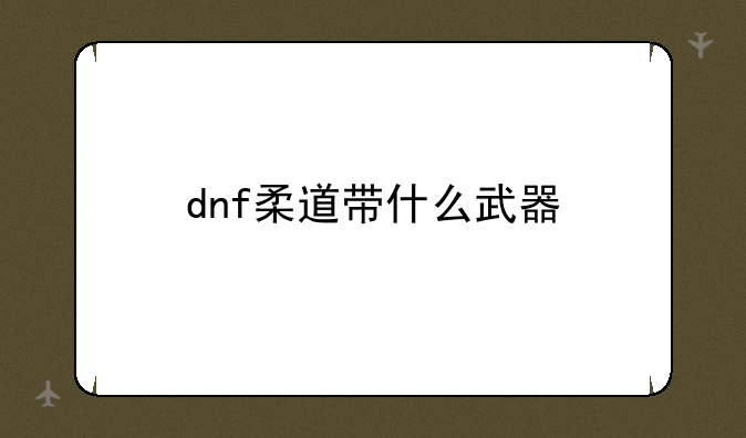 dnf柔道带什么武器