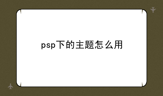 psp下的主题怎么用