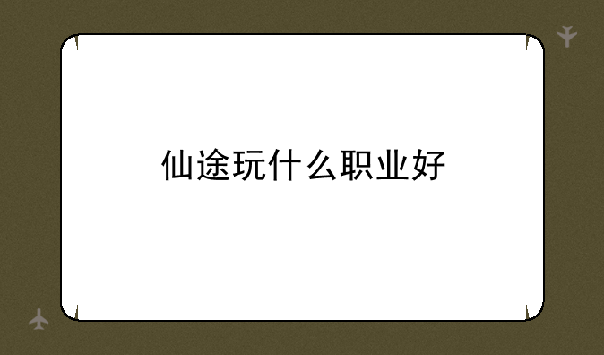 仙途玩什么职业好