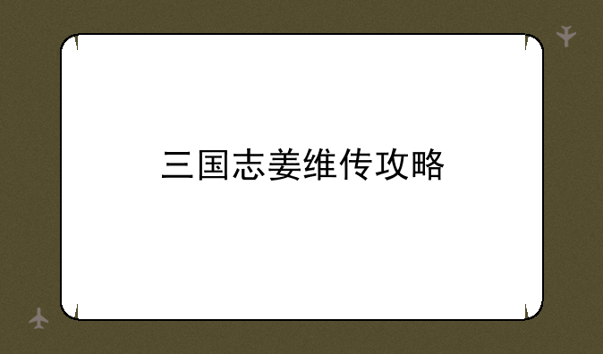 三国志姜维传攻略