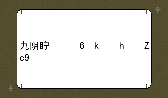 九阴真经游戏职业