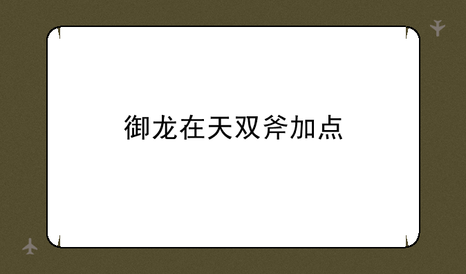 御龙在天双斧加点
