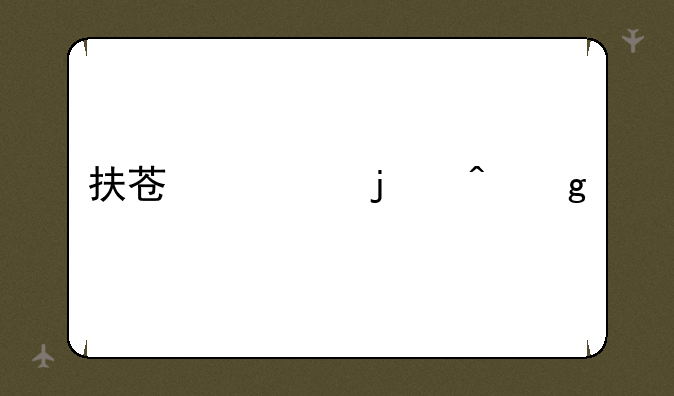 扶苏死的时候几岁