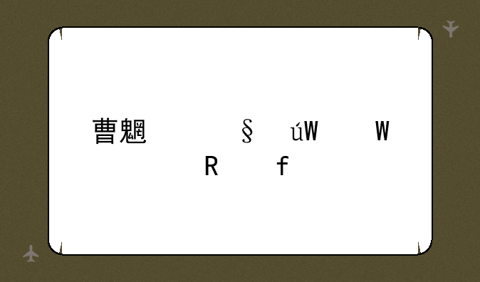 曹魏轩辕录修改器