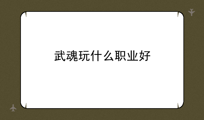 武魂玩什么职业好