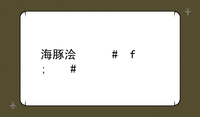 海豚浏览器怎么样