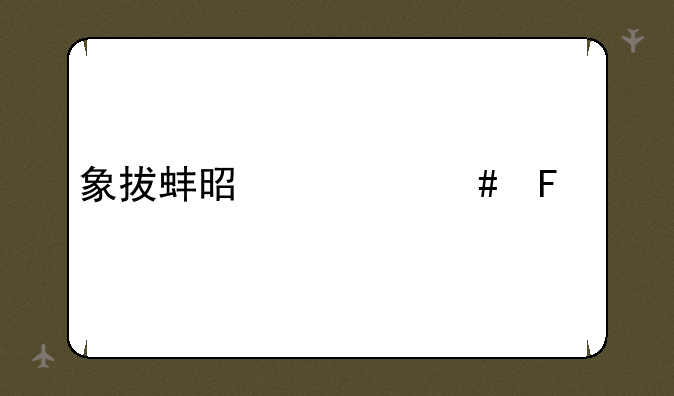 象拔蚌是什么味道