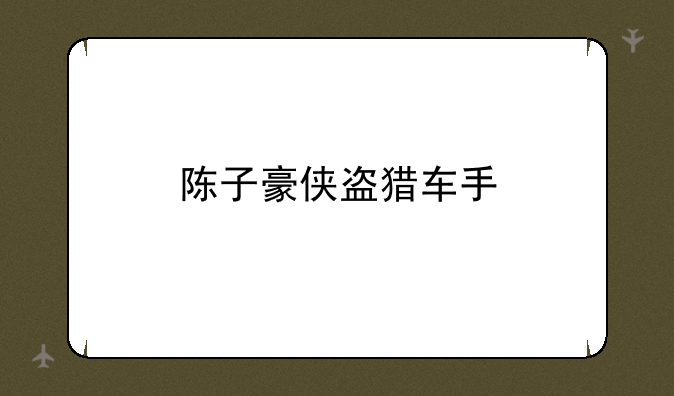 陈子豪侠盗猎车手