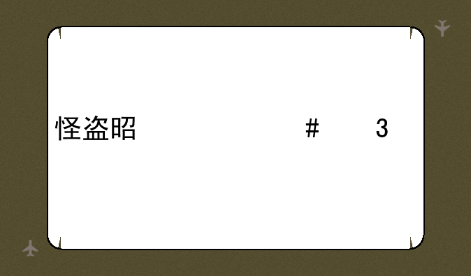怪盗是什么职业
