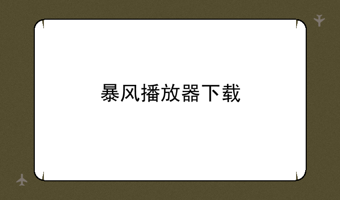 暴风播放器下载