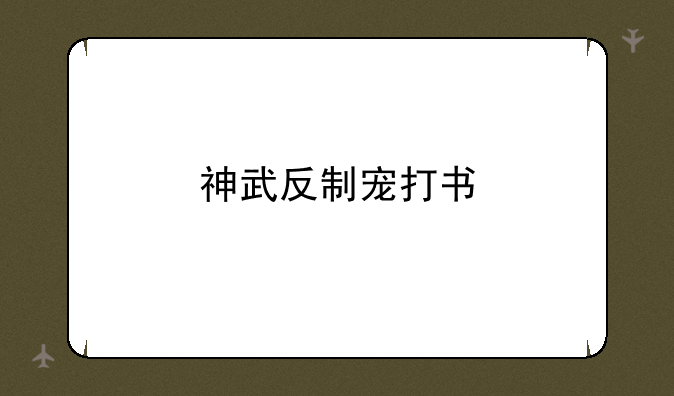 神武反制宠打书
