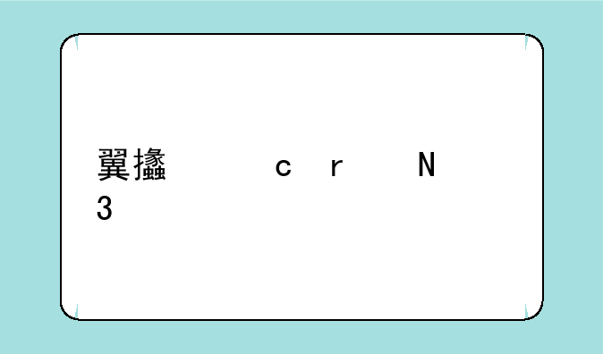翼支付在哪里找