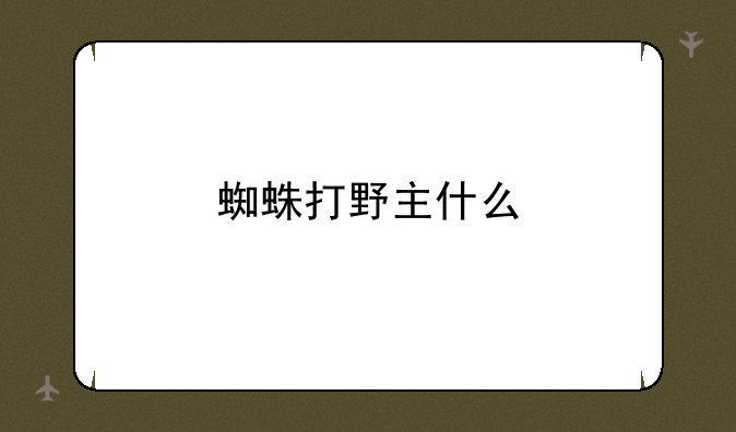 蜘蛛打野主什么