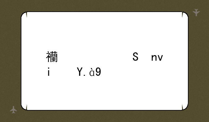 西部联盟是什么