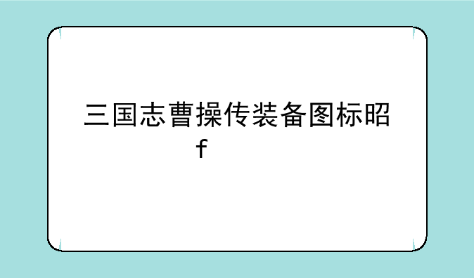 三国志曹操传装备图标是空白