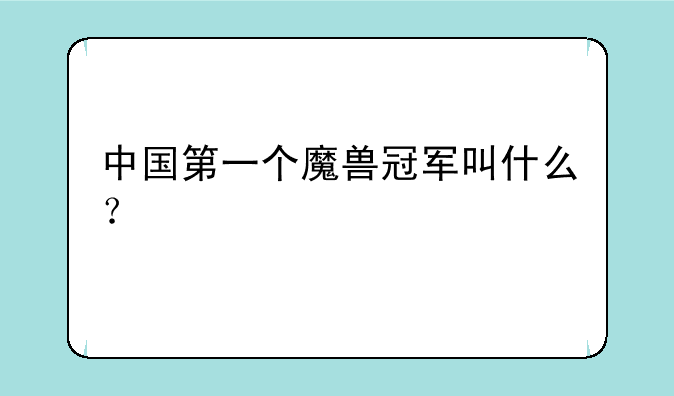 中国第一个魔兽冠军叫什么？