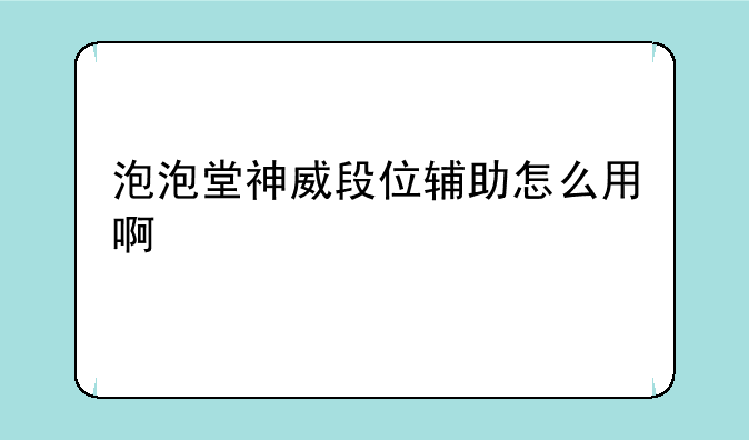 泡泡堂神威段位辅助怎么用啊