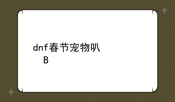 dnf春节宠物可以封吗