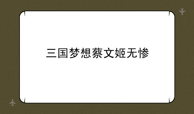三国梦想蔡文姬无惨