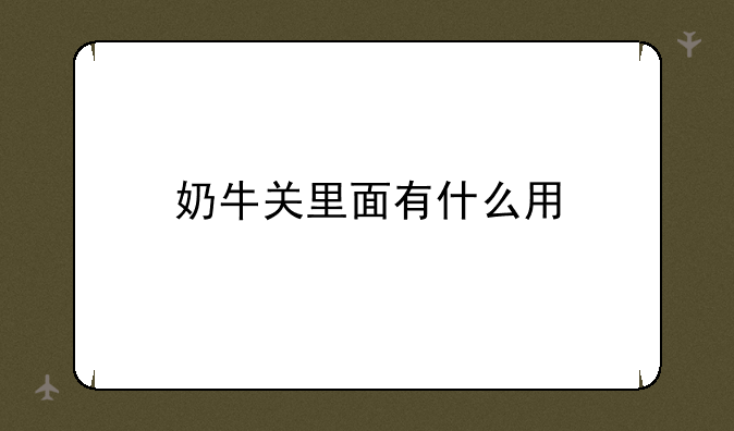 奶牛关里面有什么用