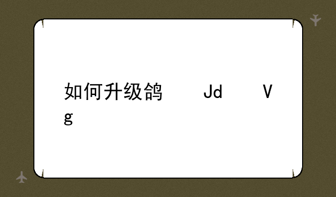 如何升级鸿蒙2.0教程