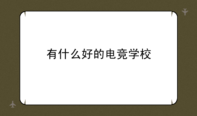 有什么好的电竞学校