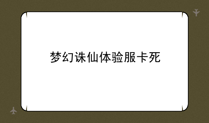梦幻诛仙体验服卡死