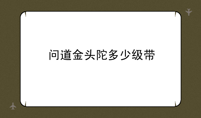 问道金头陀多少级带