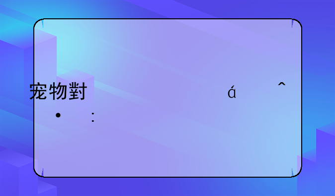 宠物小精灵xy日语原版