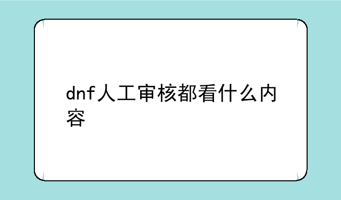 dnf人工审核都看什么内容