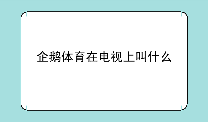 企鹅体育在电视上叫什么