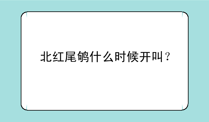 北红尾鸲什么时候开叫？