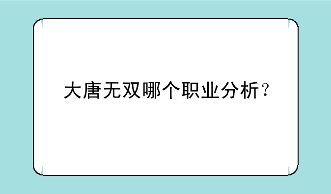 大唐无双哪个职业分析？