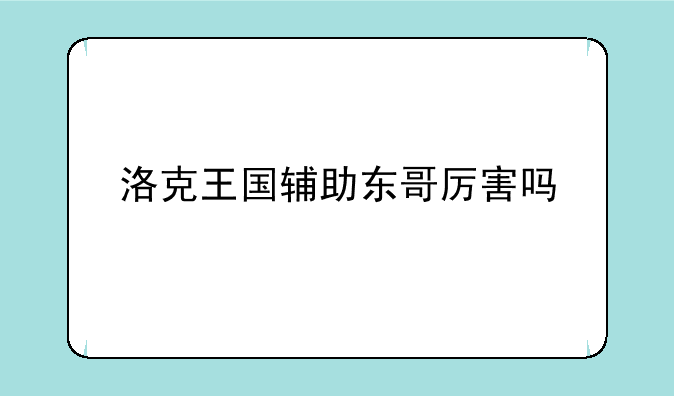 洛克王国辅助东哥厉害吗