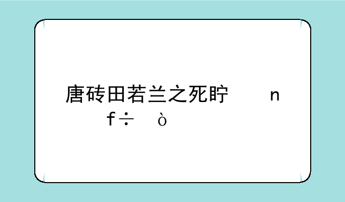 唐砖田若兰之死真相大白？
