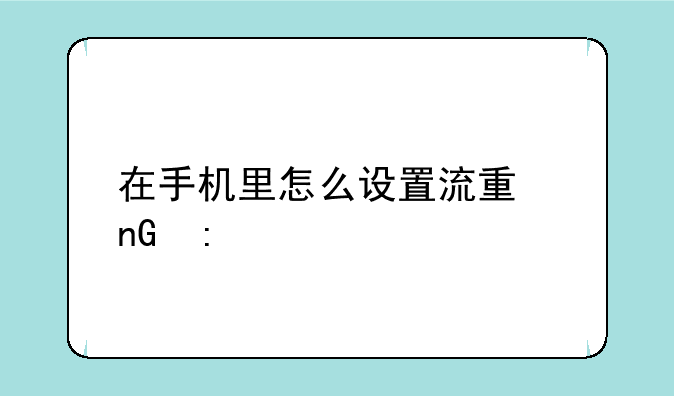 在手机里怎么设置流量监控
