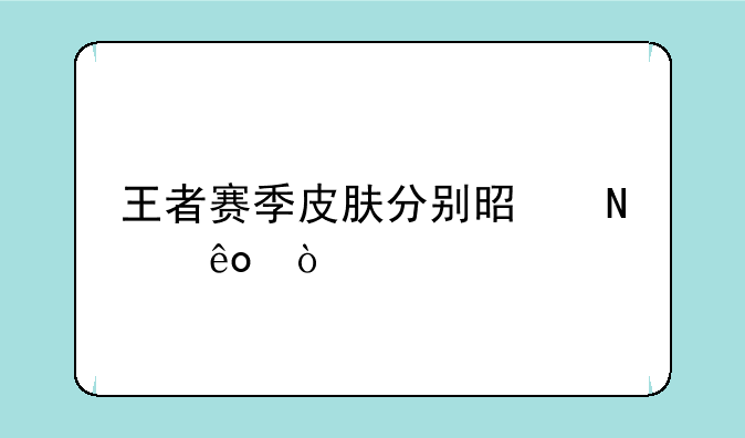 王者赛季皮肤分别是哪些？