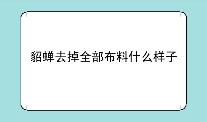 貂蝉去掉全部布料什么样子