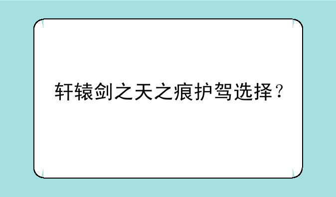 轩辕剑之天之痕护驾选择？