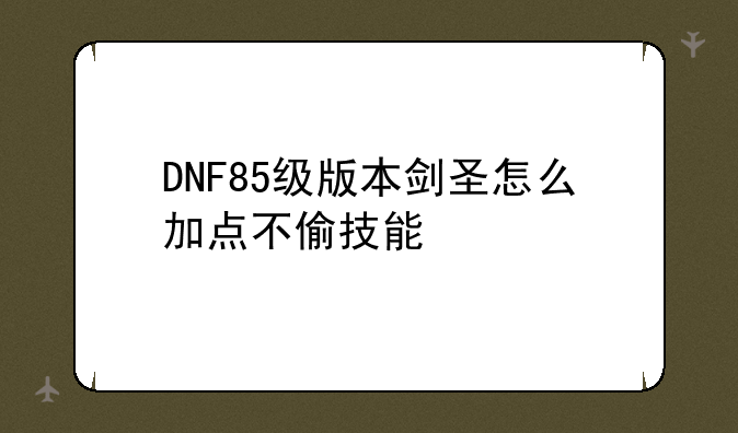 DNF85级版本剑圣怎么加点不偷技能