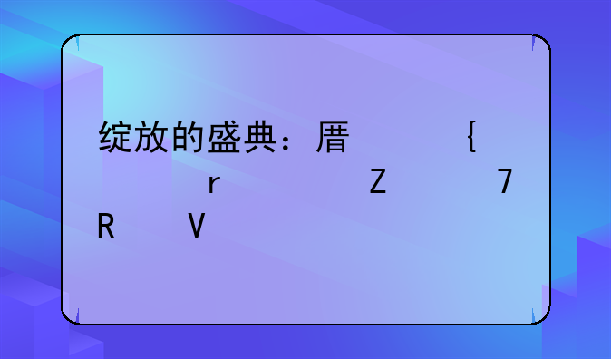 绽放的盛典：原神妮露全方位攻略