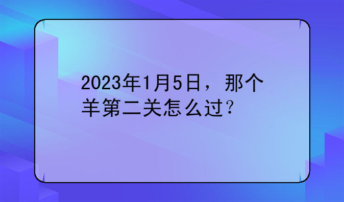 2023年1月5日，那个羊第二关怎么过？
