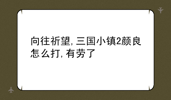 向往祈望,三国小镇2颜良怎么打,有劳了