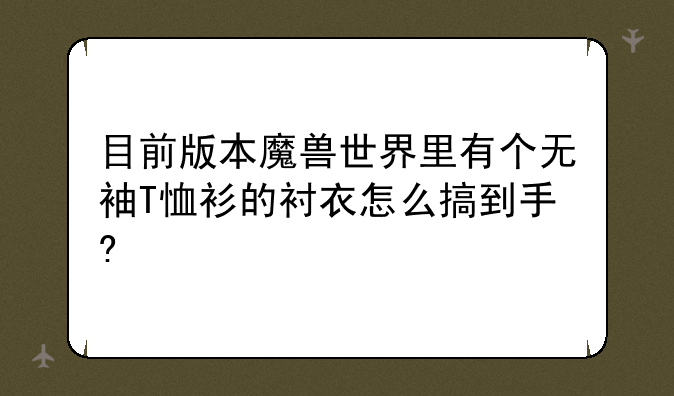 目前版本魔兽世界里有个无袖T恤衫的衬衣怎么搞到手?