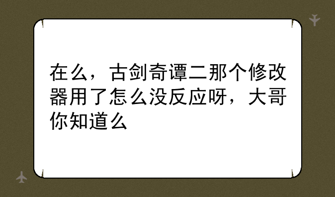 在么，古剑奇谭二那个修改器用了怎么没反应呀，大哥你知道么