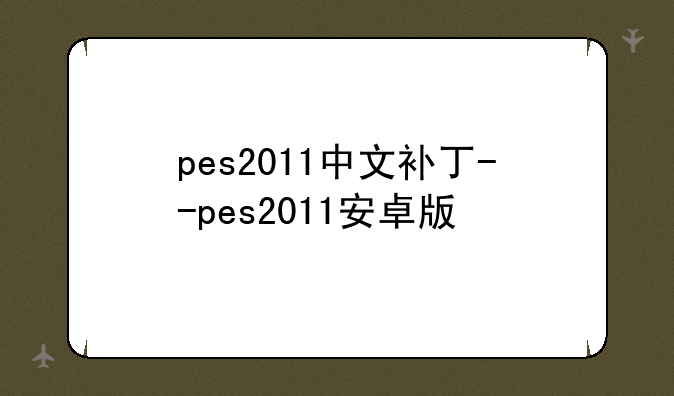 pes2011中文补丁--pes2011安卓版